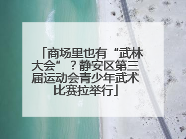 商场里也有“武林大会”？静安区第三届运动会青少年武术比赛拉举行