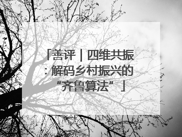 善评｜四维共振：解码乡村振兴的“齐鲁算法”