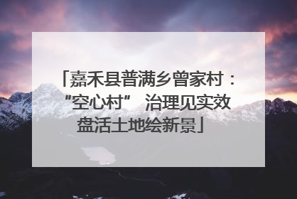 嘉禾县普满乡曾家村：“空心村” 治理见实效 盘活土地绘新景