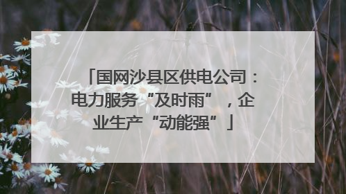 国网沙县区供电公司：电力服务“及时雨”，企业生产“动能强”