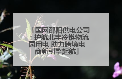 国网邵阳供电公司：护航北丰冷链物流园用电 助力跨境电商新引擎起航