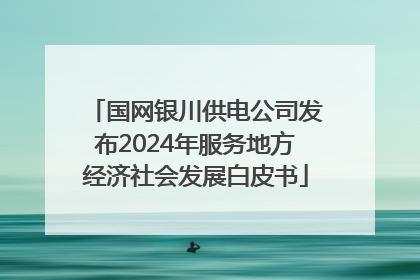 国网银川供电公司发布2024年服务地方经济社会发展白皮书