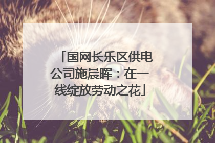 国网长乐区供电公司施晨晖：在一线绽放劳动之花