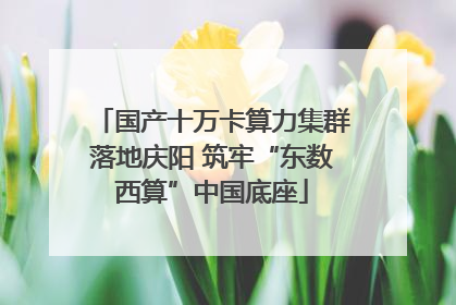 国产十万卡算力集群落地庆阳 筑牢“东数西算”中国底座
