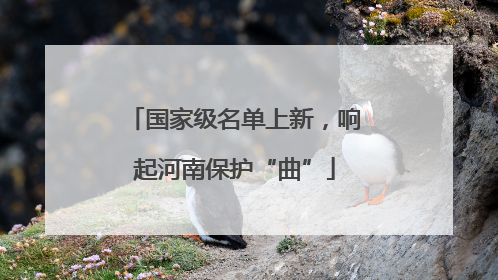 国家级名单上新，响起河南保护“曲”