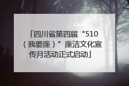 四川省第四届“510（我要廉）”廉洁文化宣传月活动正式启动