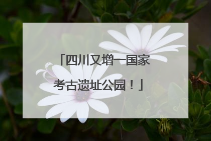四川又增一国家考古遗址公园！