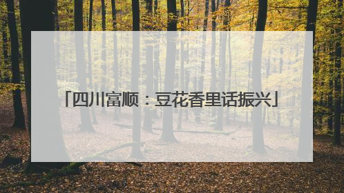 四川富顺：豆花香里话振兴