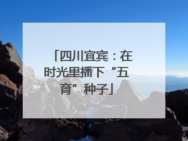 四川宜宾：在时光里播下“五育”种子