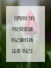 四川已有7位党委副书记兼任政法委书记