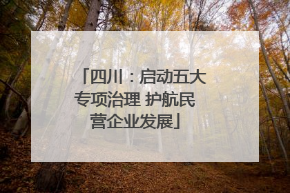 四川：启动五大专项治理 护航民营企业发展