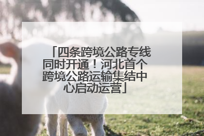 四条跨境公路专线同时开通！河北首个跨境公路运输集结中心启动运营