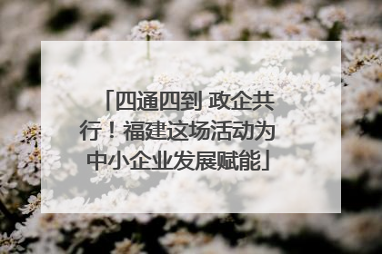 四通四到 政企共行！福建这场活动为中小企业发展赋能