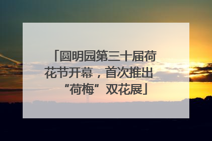 圆明园第三十届荷花节开幕，首次推出“荷梅”双花展