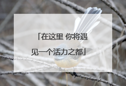 在这里 你将遇见一个活力之都