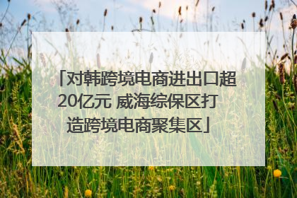 对韩跨境电商进出口超20亿元 威海综保区打造跨境电商聚集区
