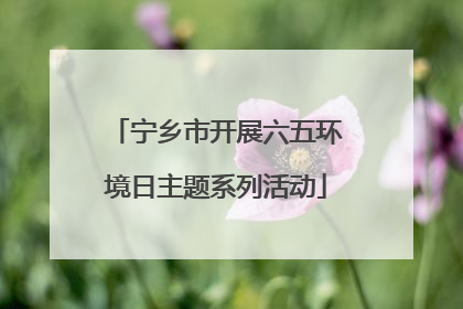 宁乡市开展六五环境日主题系列活动