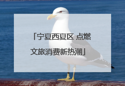 宁夏西夏区 点燃文旅消费新热潮