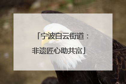 宁波白云街道：非遗匠心助共富