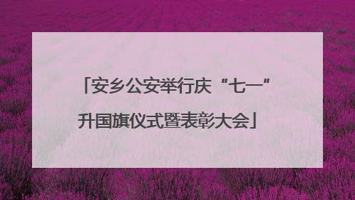安乡公安举行庆“七一”升国旗仪式暨表彰大会