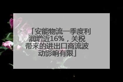 安能物流一季度利润增近16%，关税带来的进出口商流波动影响有限