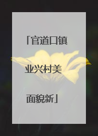 官道口镇 业兴村美面貌新