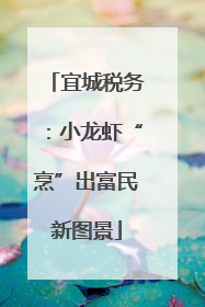 宜城税务：小龙虾“烹”出富民新图景