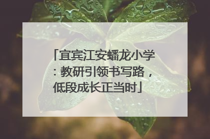 宜宾江安蟠龙小学：教研引领书写路，低段成长正当时
