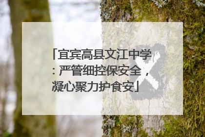 宜宾高县文江中学：严管细控保安全，凝心聚力护食安