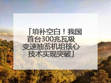 填补空白！我国首台300兆瓦级变速抽蓄机组核心技术实现突破