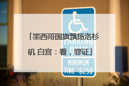 墨西哥国旗飘扬洛杉矶 白宫：看，罪证