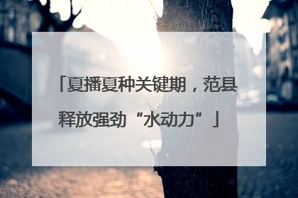 夏播夏种关键期,范县释放强劲“水动力”
