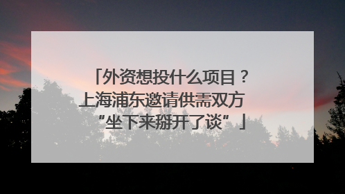 外资想投什么项目？上海浦东邀请供需双方“坐下来掰开了谈”