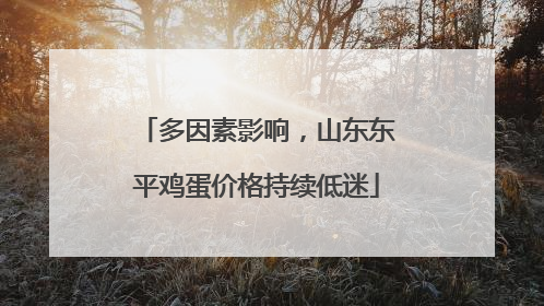 多因素影响，山东东平鸡蛋价格持续低迷
