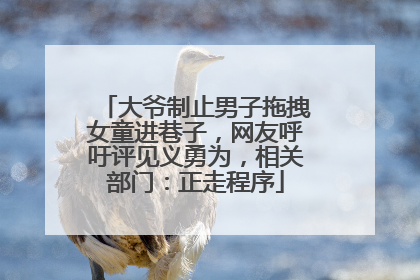 大爷制止男子拖拽女童进巷子，网友呼吁评见义勇为，相关部门：正走程序
