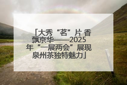 大秀“茗”片 香飘京华——2025年“一展两会”展现泉州茶独特魅力