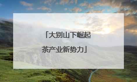 大别山下崛起茶产业新势力