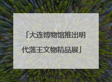 大连博物馆推出明代藩王文物精品展