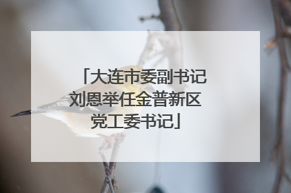 大连市委副书记刘恩举任金普新区党工委书记