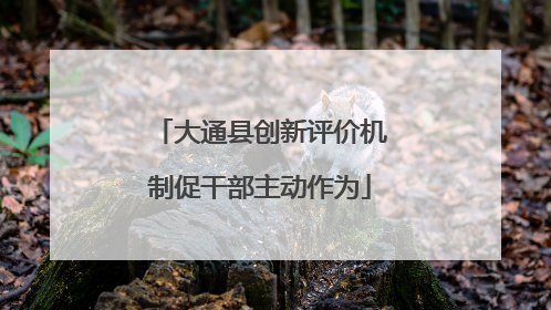 大通县创新评价机制促干部主动作为