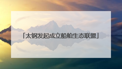 太钢发起成立船舶生态联盟