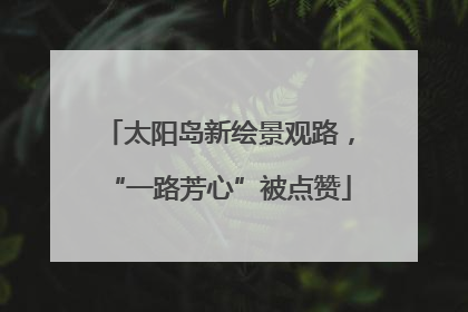 太阳岛新绘景观路，“一路芳心”被点赞