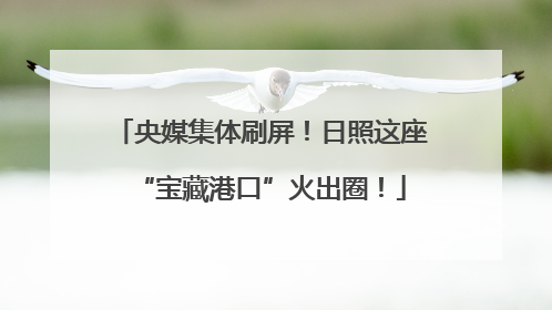 央媒集体刷屏！日照这座“宝藏港口”火出圈！