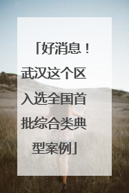 好消息！武汉这个区入选全国首批综合类典型案例
