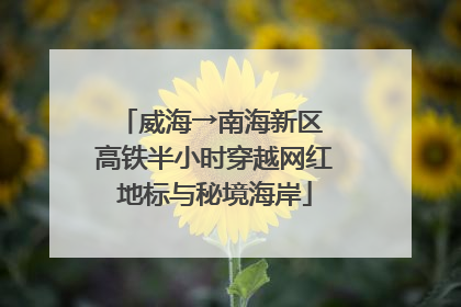 威海→南海新区 高铁半小时穿越网红地标与秘境海岸