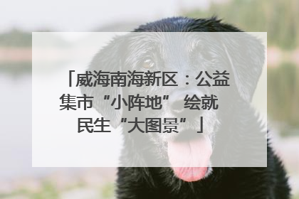 威海南海新区：公益集市“小阵地” 绘就民生“大图景”