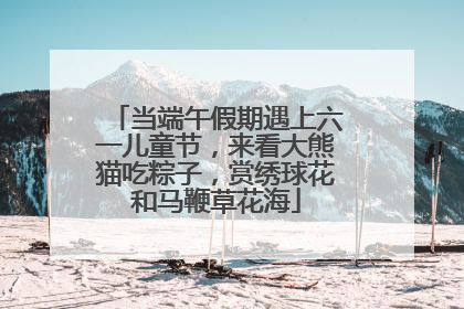 当端午假期遇上六一儿童节，来看大熊猫吃粽子，赏绣球花和马鞭草花海