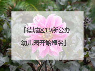 德城区19所公办幼儿园开始报名