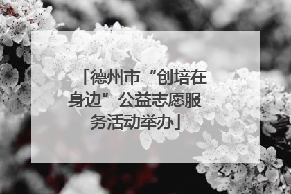 德州市“创培在身边”公益志愿服务活动举办