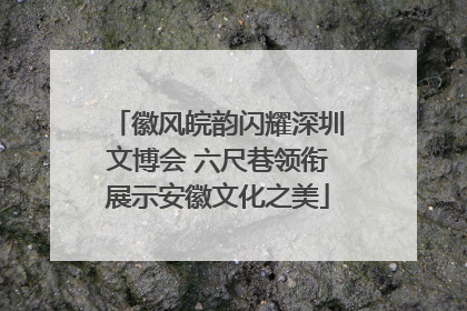 徽风皖韵闪耀深圳文博会 六尺巷领衔展示安徽文化之美